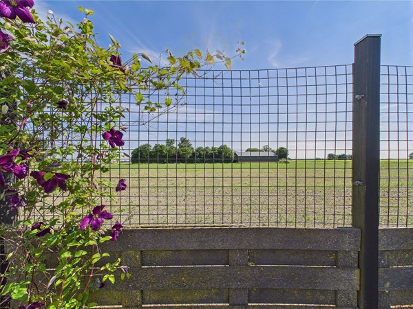 Medium property photo - Reuzenhoek 40, 4543 NC Zaamslag